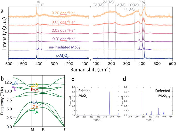 Tuning of the electronic and vibrational properties of epitaxial MoS2 ...