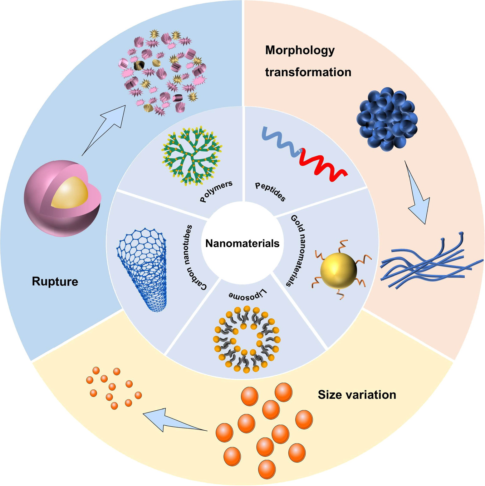 Advances in the variations and biomedical applications of stimuli ...