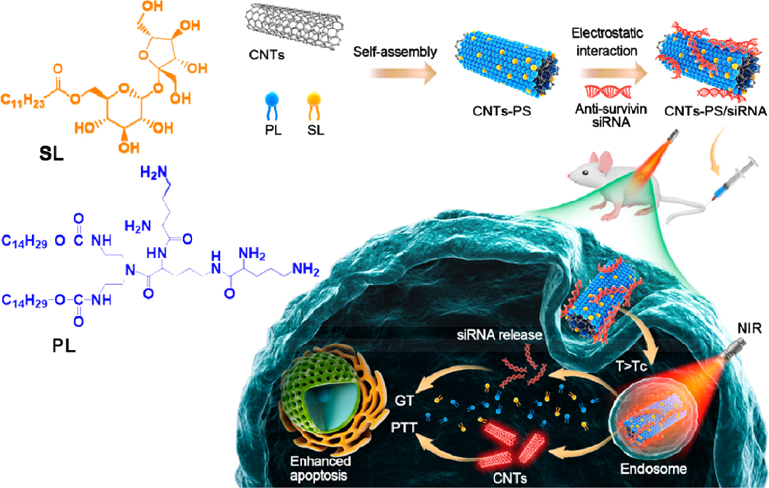 Advances in the variations and biomedical applications of stimuli ...