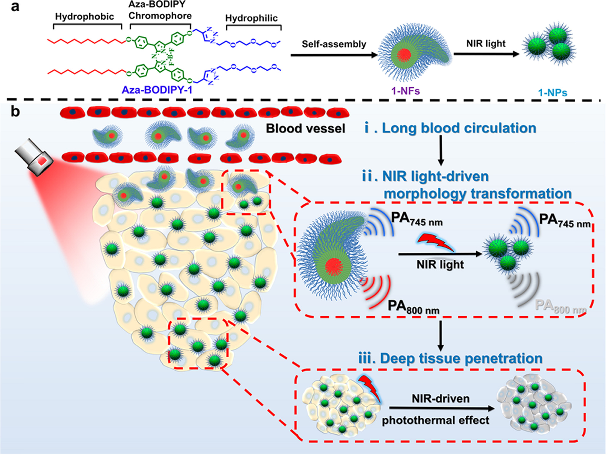 Advances in the variations and biomedical applications of stimuli ...
