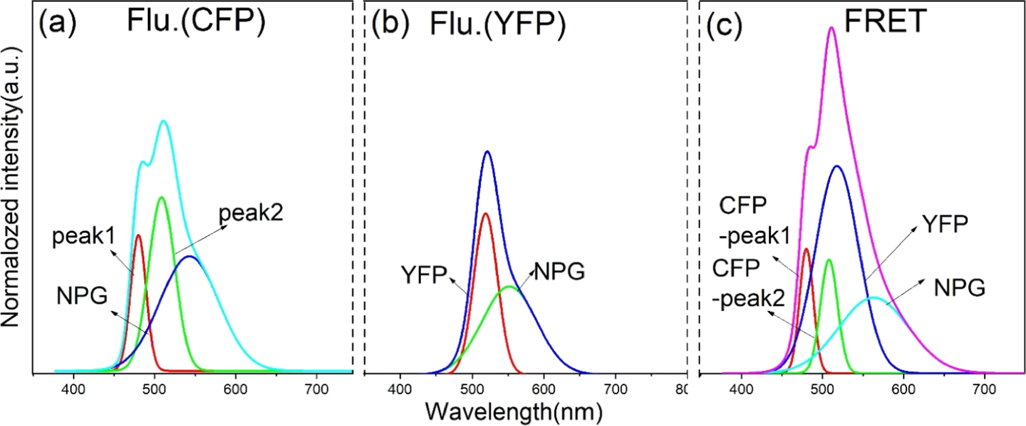 Giant enhancement of fluorescence resonance energy transfer based on ...