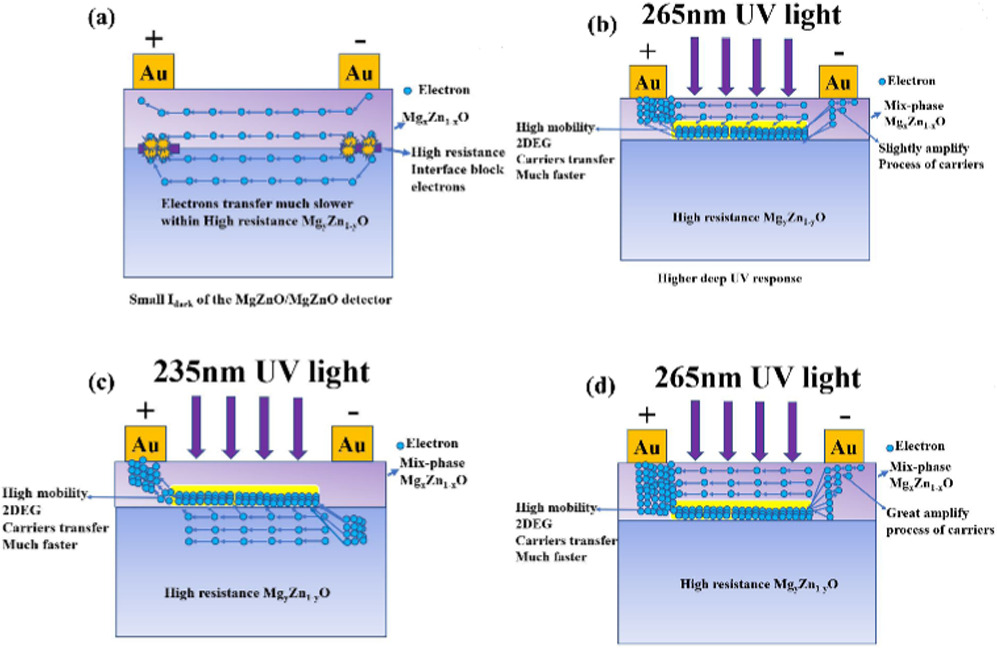 High performance solar-blind UV detector with Mg0.472Zn0.528O/Mg0