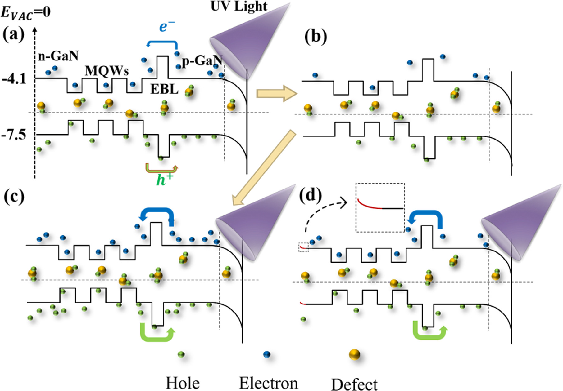 Flexible light-stimulated artificial synapse based on detached (In,Ga)N ...
