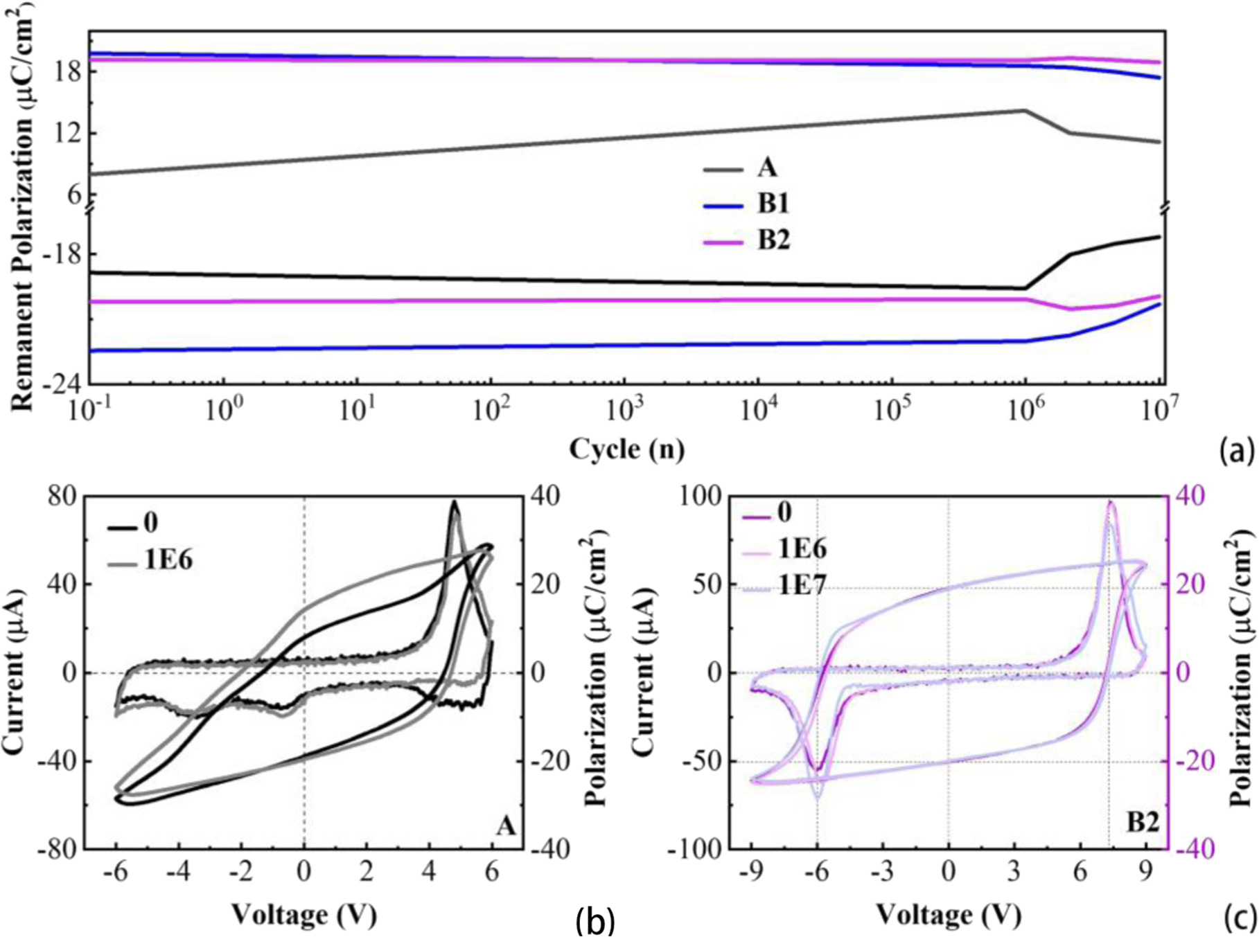 Mfis Gate Stack Capacitance Model Enhancing ferroelectric performance in hafnia-based MFIS capacitor ...