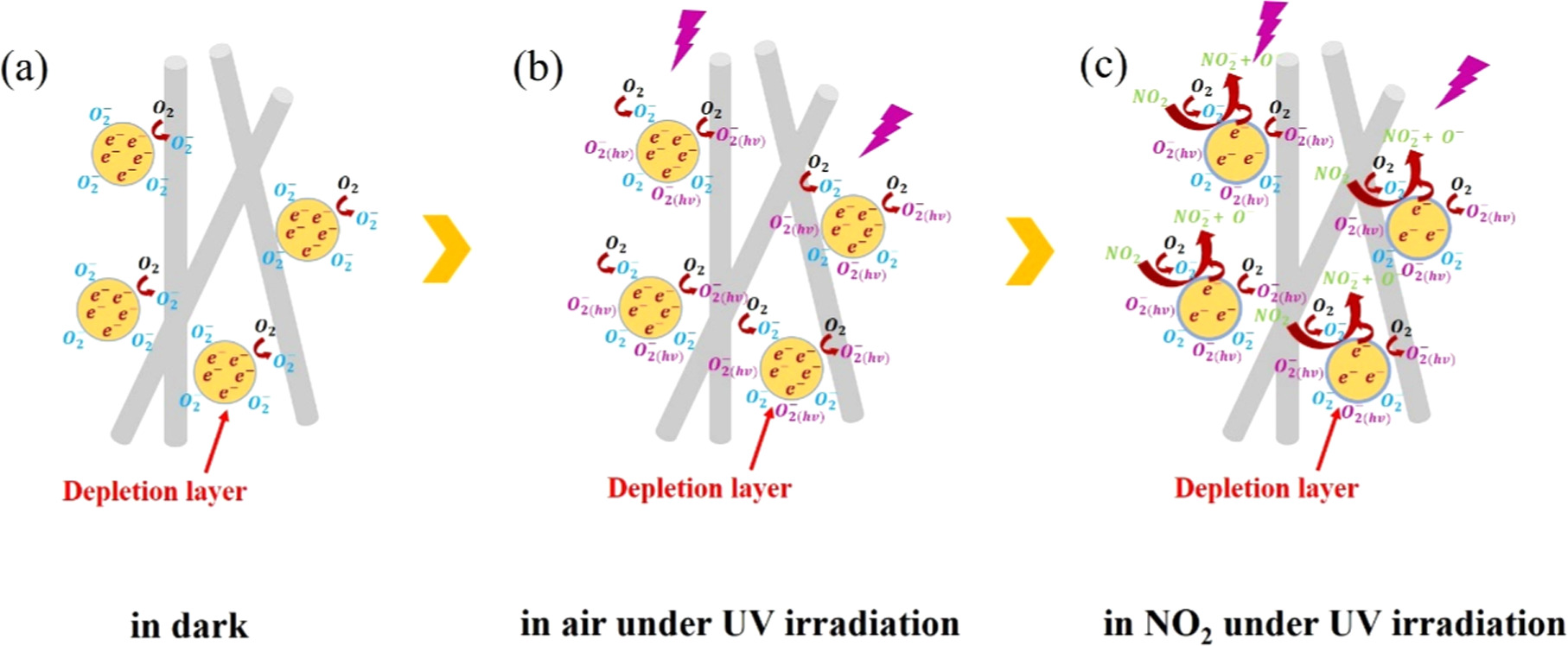 Self-assembled peptide nanotubes (SPNTs)/SnO2 nanocomposites for high ...