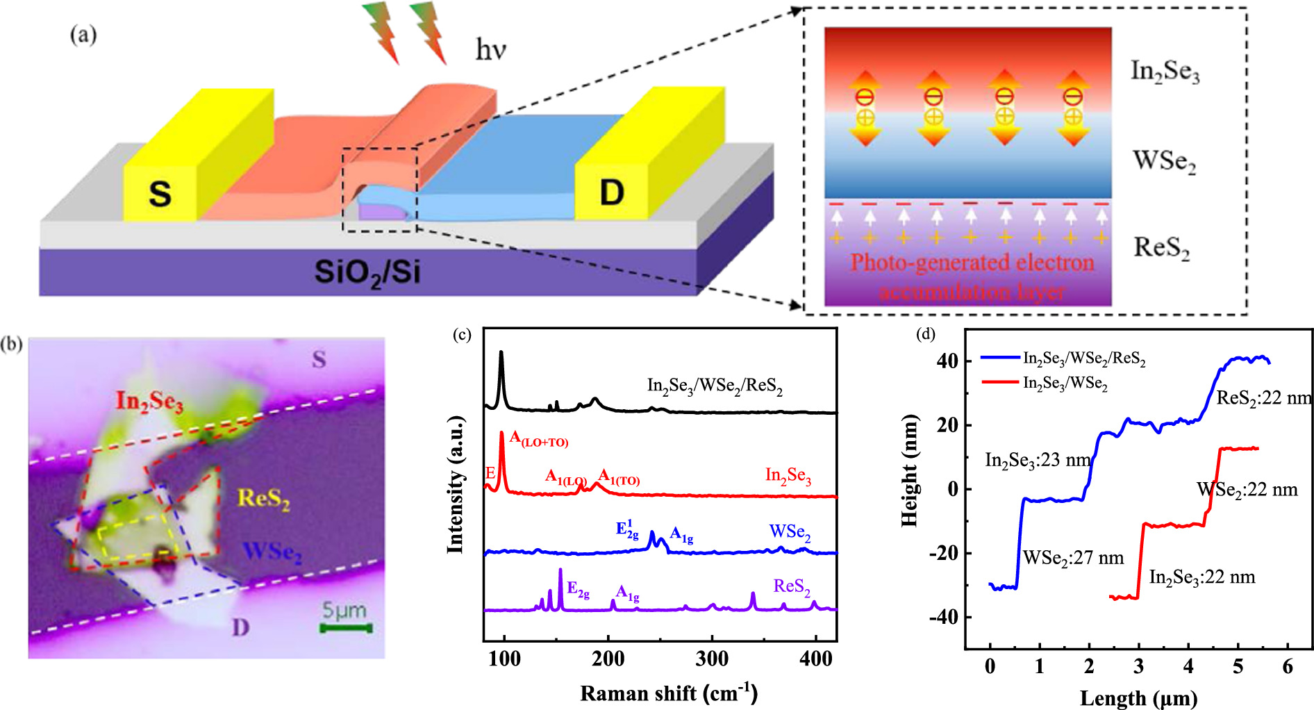 High performance self-powered photodetector based on van der Waals ...