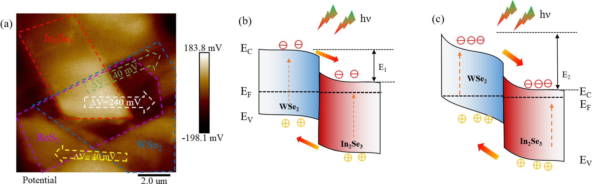High performance self-powered photodetector based on van der Waals ...