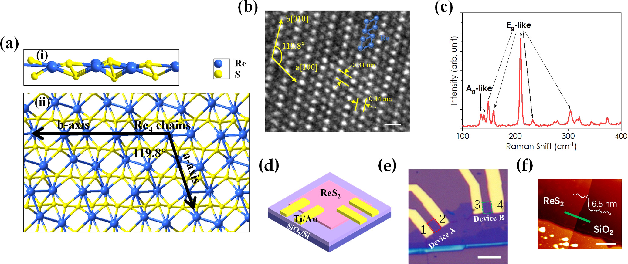 専用 Eと? Anisotropic sensing based on single ReS2 flake for VOCs