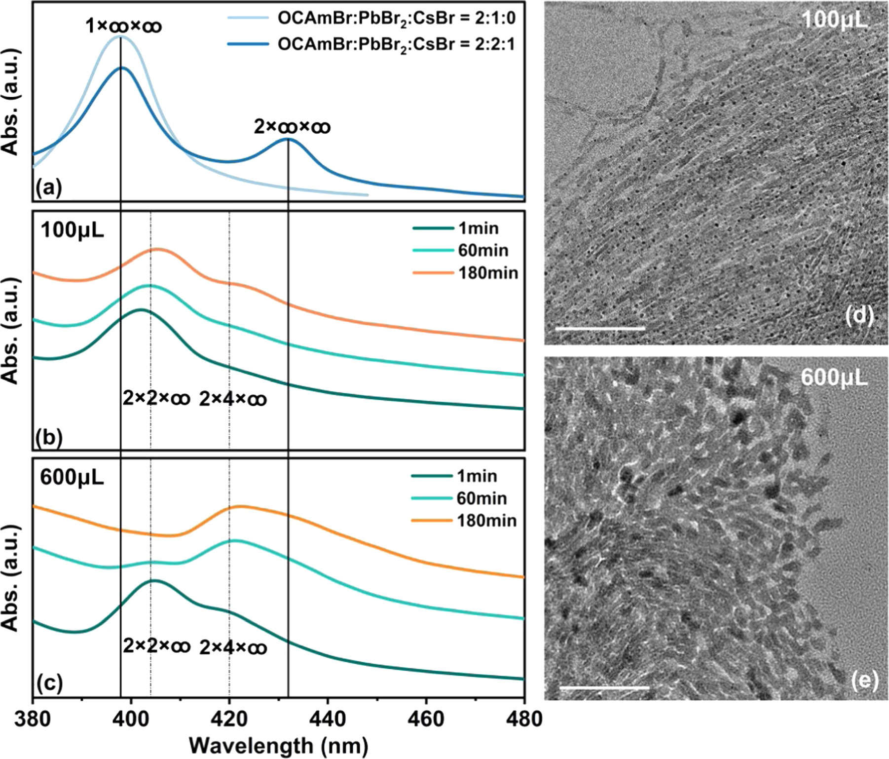 In situ cell-scale probing nucleation, growth and evolution of CsPbBr3 ...
