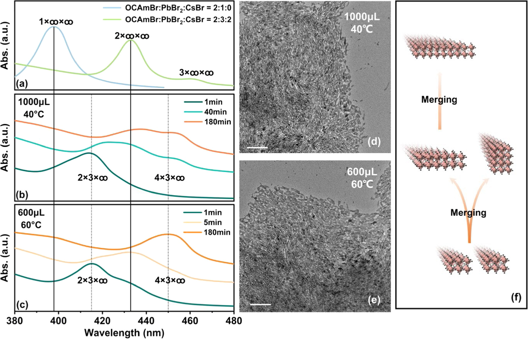 In situ cell-scale probing nucleation, growth and evolution of CsPbBr3 ...
