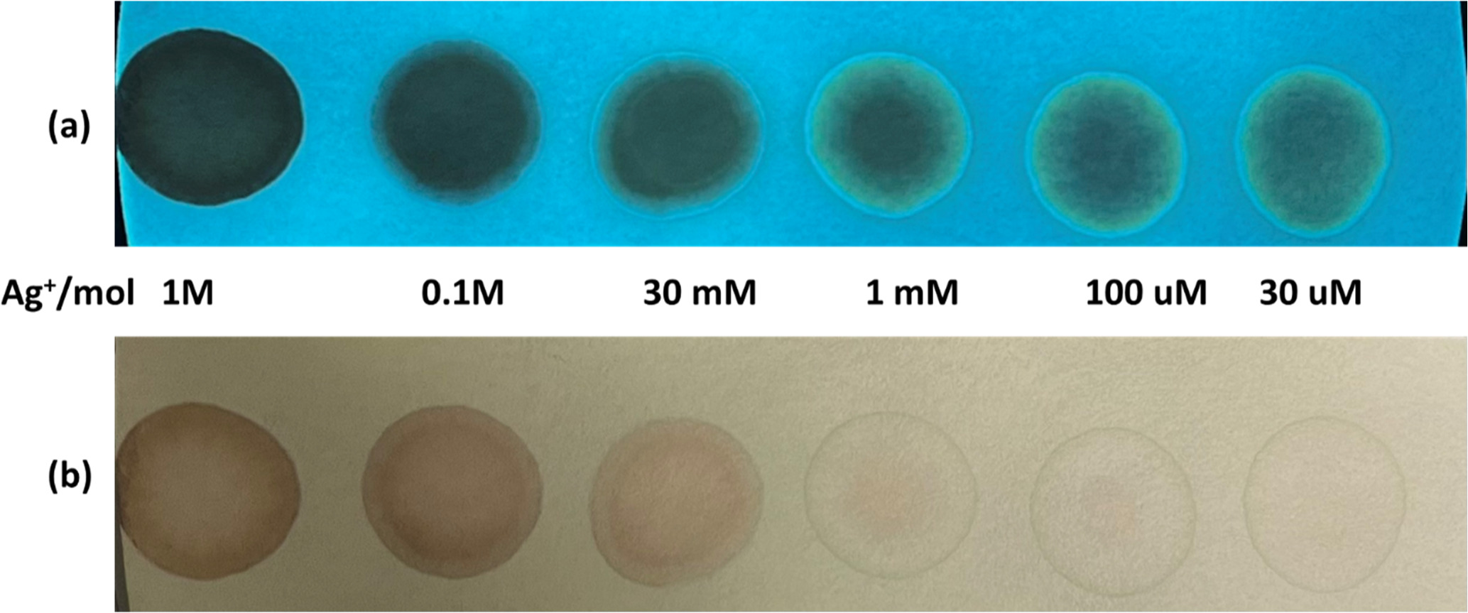 Ultrasensitive detection of Ag+ and Ce3+ ions using highly fluorescent ...