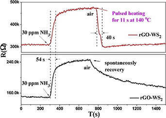 Resistive gas sensors for the detection of NH3 gas based on 2D WS2 ...