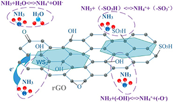 Resistive gas sensors for the detection of NH3 gas based on 2D WS2 ...