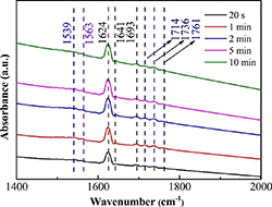 Resistive gas sensors for the detection of NH3 gas based on 2D WS2 ...