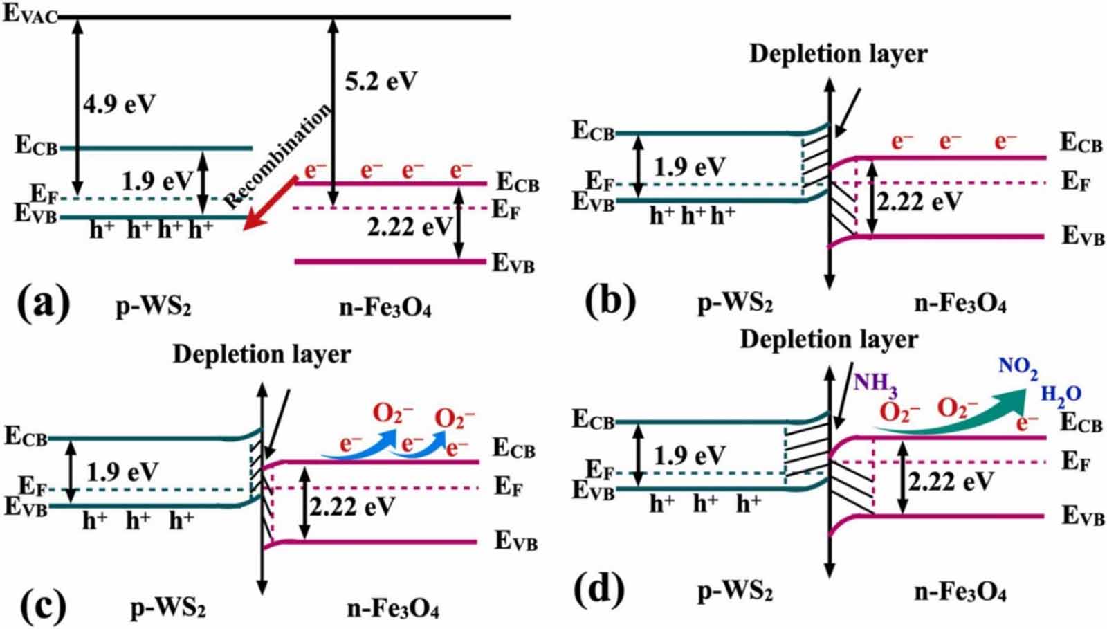 Resistive gas sensors for the detection of NH3 gas based on 2D WS2 ...