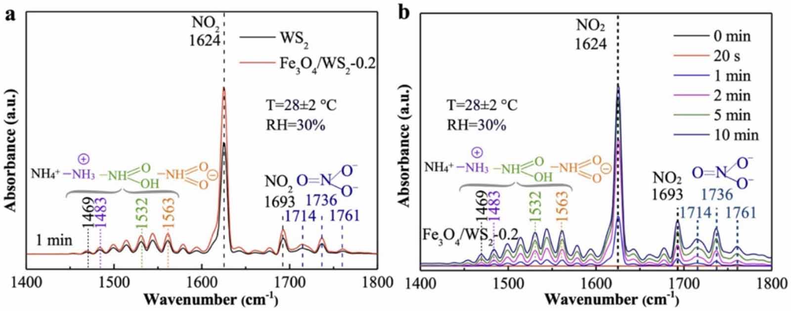 Resistive gas sensors for the detection of NH3 gas based on 2D WS2 ...
