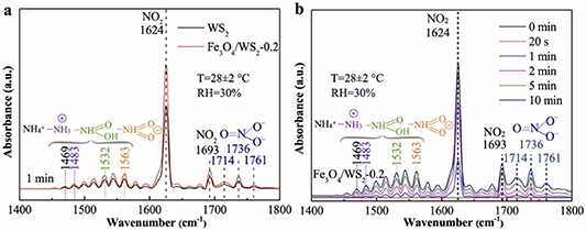 Resistive gas sensors for the detection of NH3 gas based on 2D WS2 ...
