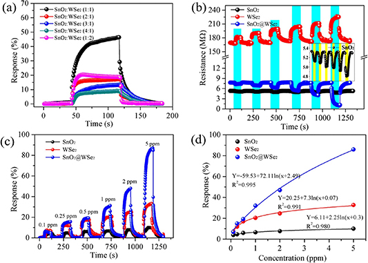 Resistive gas sensors for the detection of NH3 gas based on 2D WS2 ...