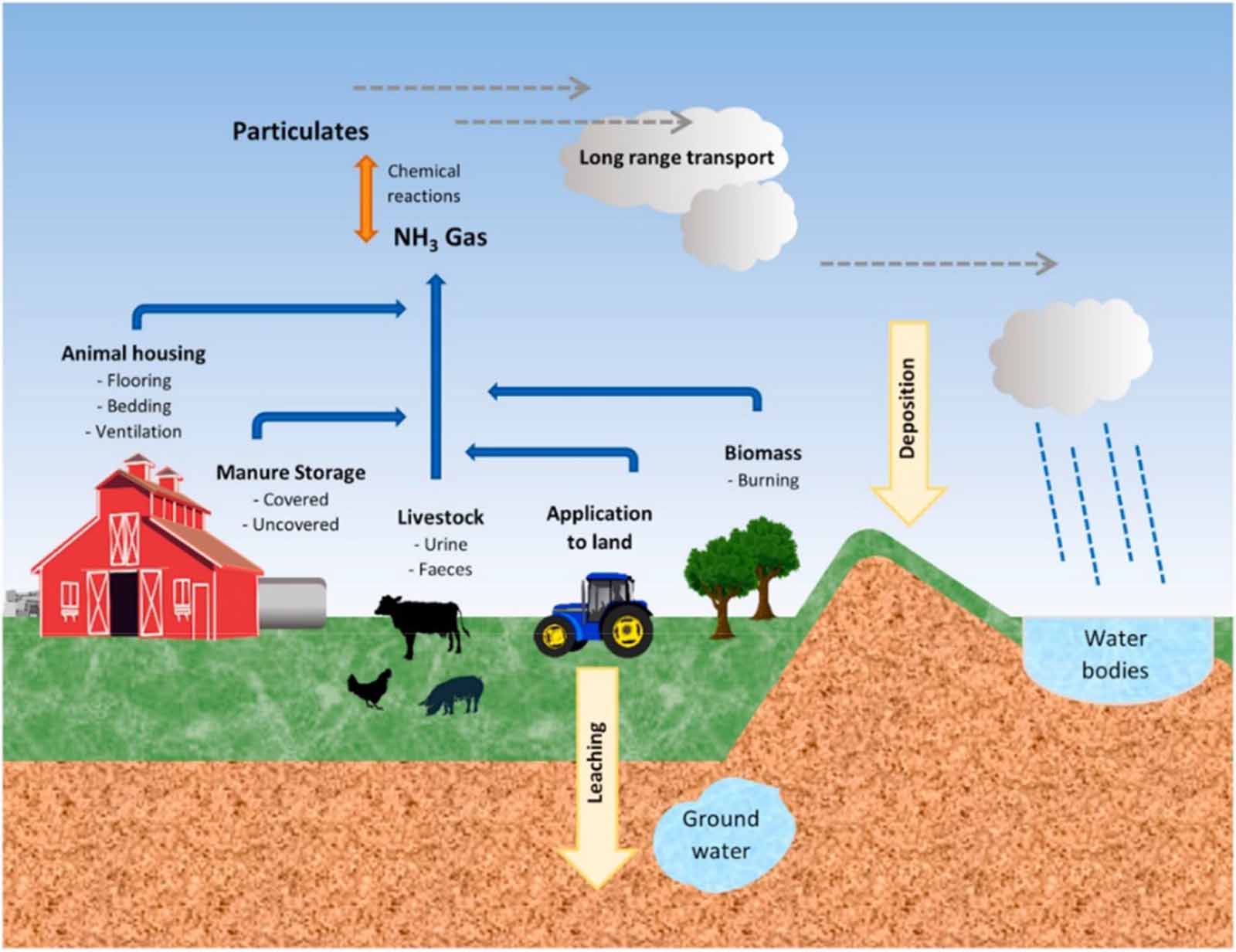 Resistive gas sensors for the detection of NH3 gas based on 2D WS2 ...