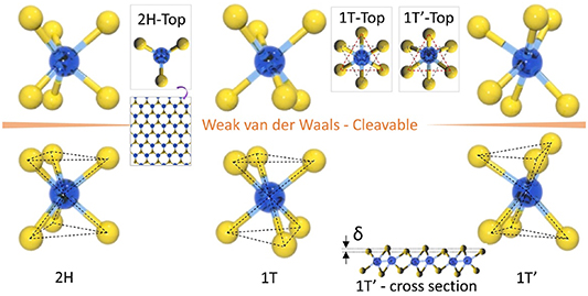 Resistive gas sensors for the detection of NH3 gas based on 2D WS2 ...