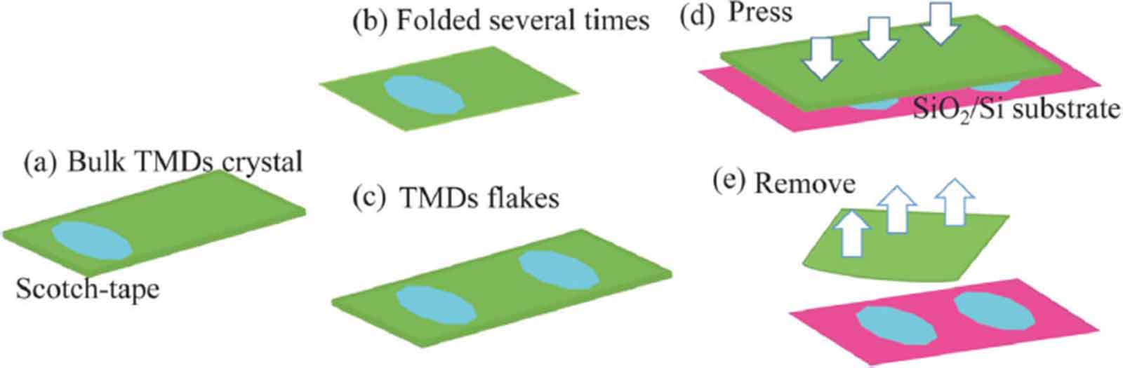 Resistive gas sensors for the detection of NH3 gas based on 2D WS2 ...