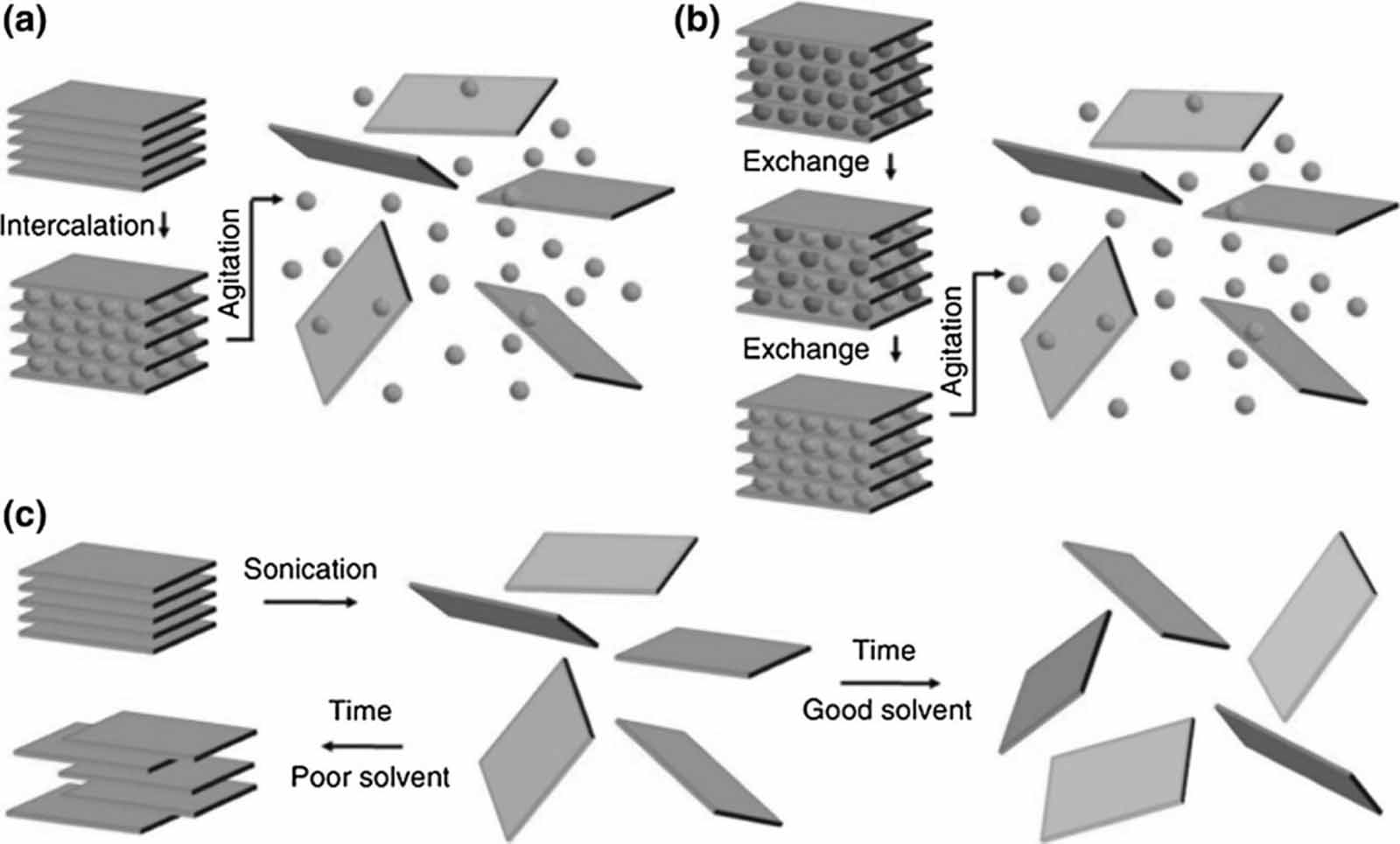 Resistive gas sensors for the detection of NH3 gas based on 2D WS2 ...