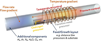 Resistive gas sensors for the detection of NH3 gas based on 2D WS2 ...