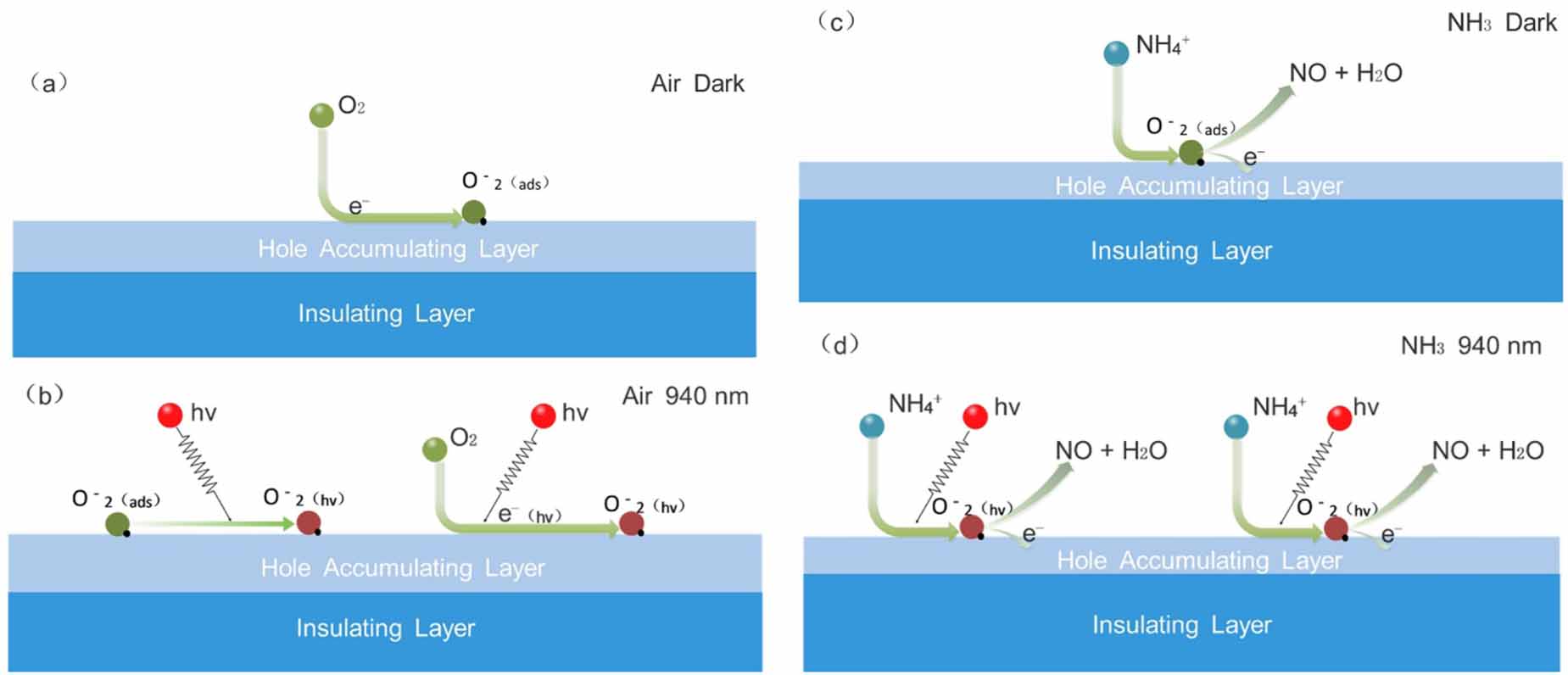 Resistive gas sensors for the detection of NH3 gas based on 2D WS2 ...