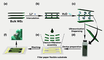 Resistive gas sensors for the detection of NH3 gas based on 2D WS2 ...