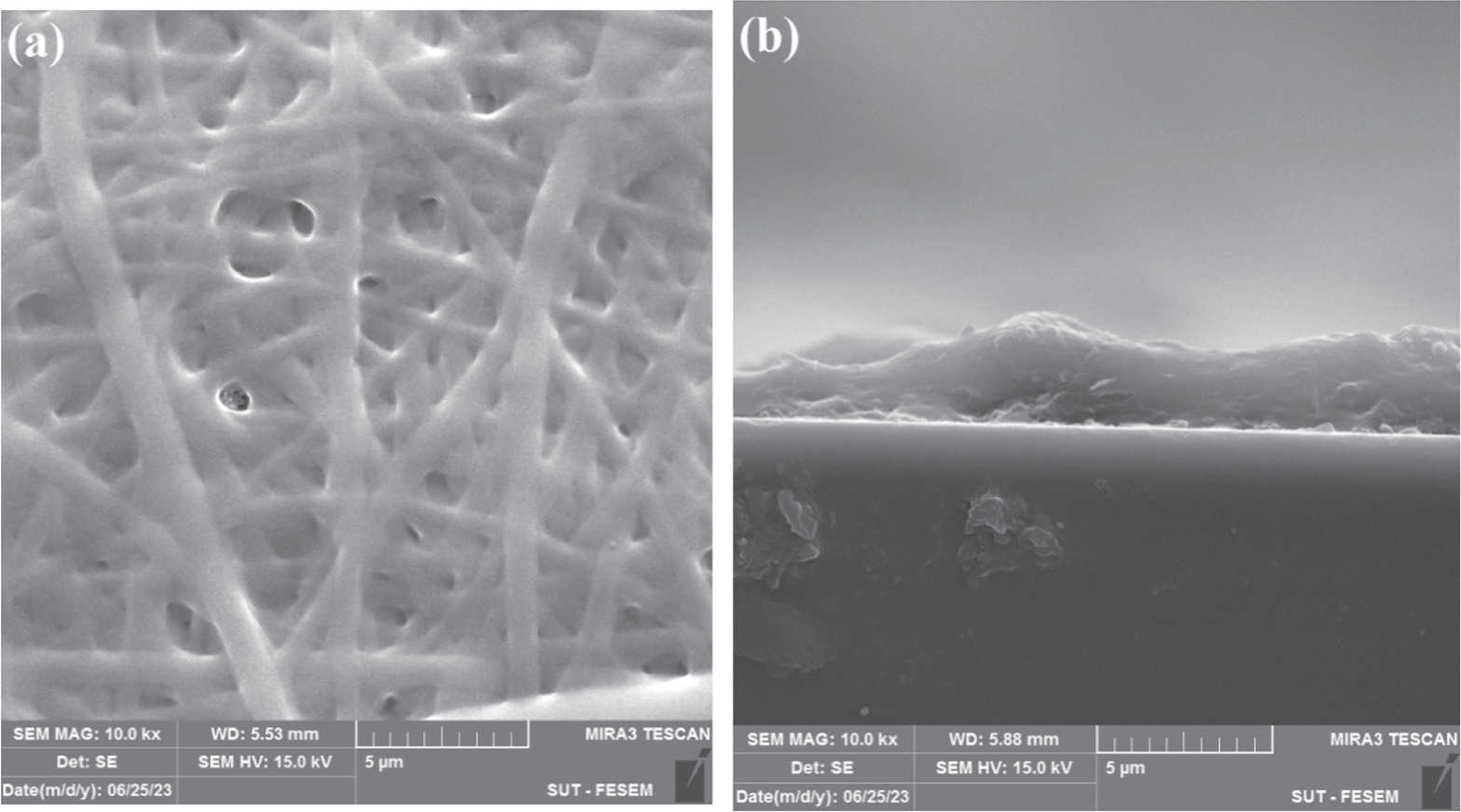 Self-powered stable high-performance UV–Vis–NIR broadband