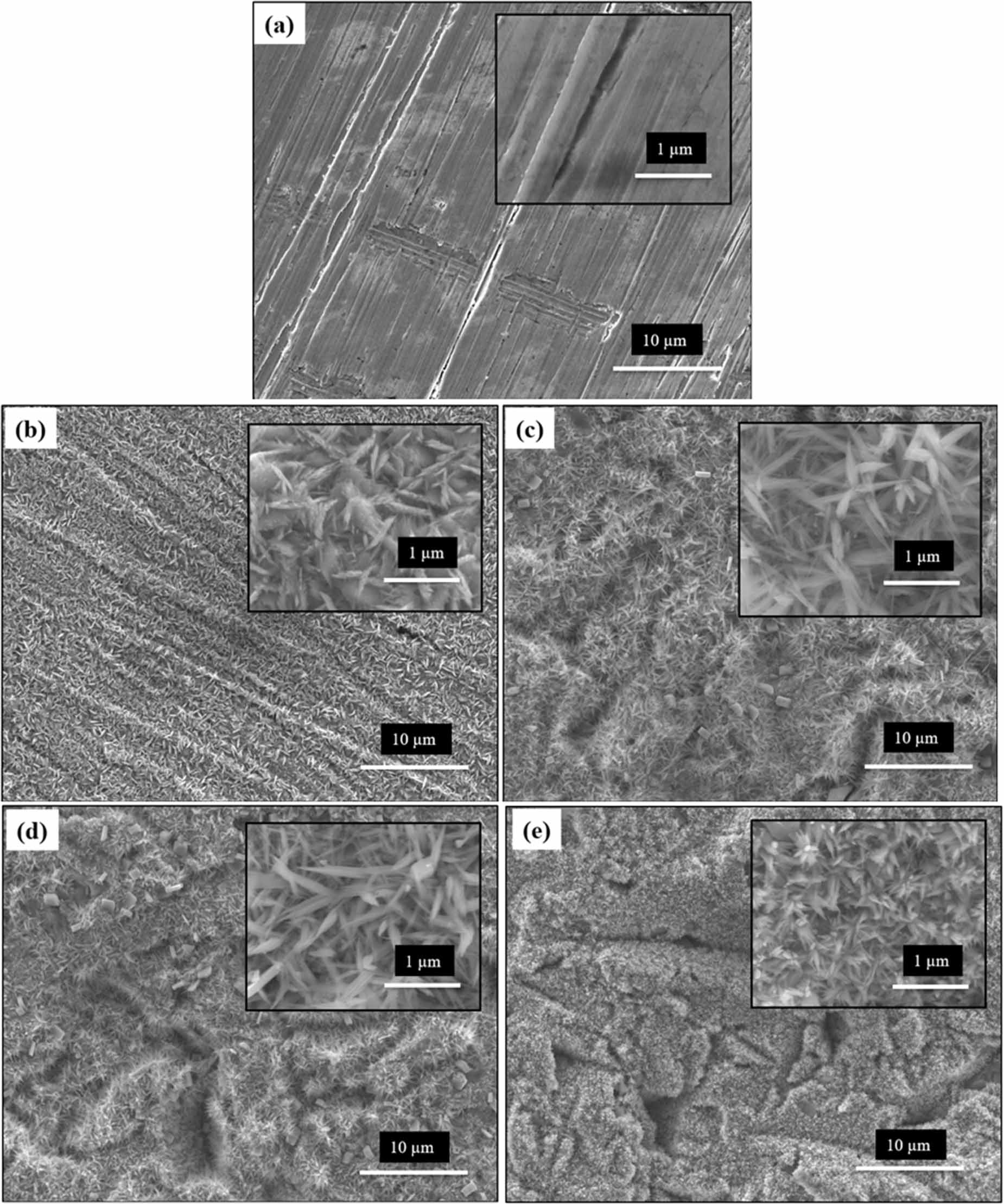 Effect of sandblasting and acid surface pretreatment on the specific ...