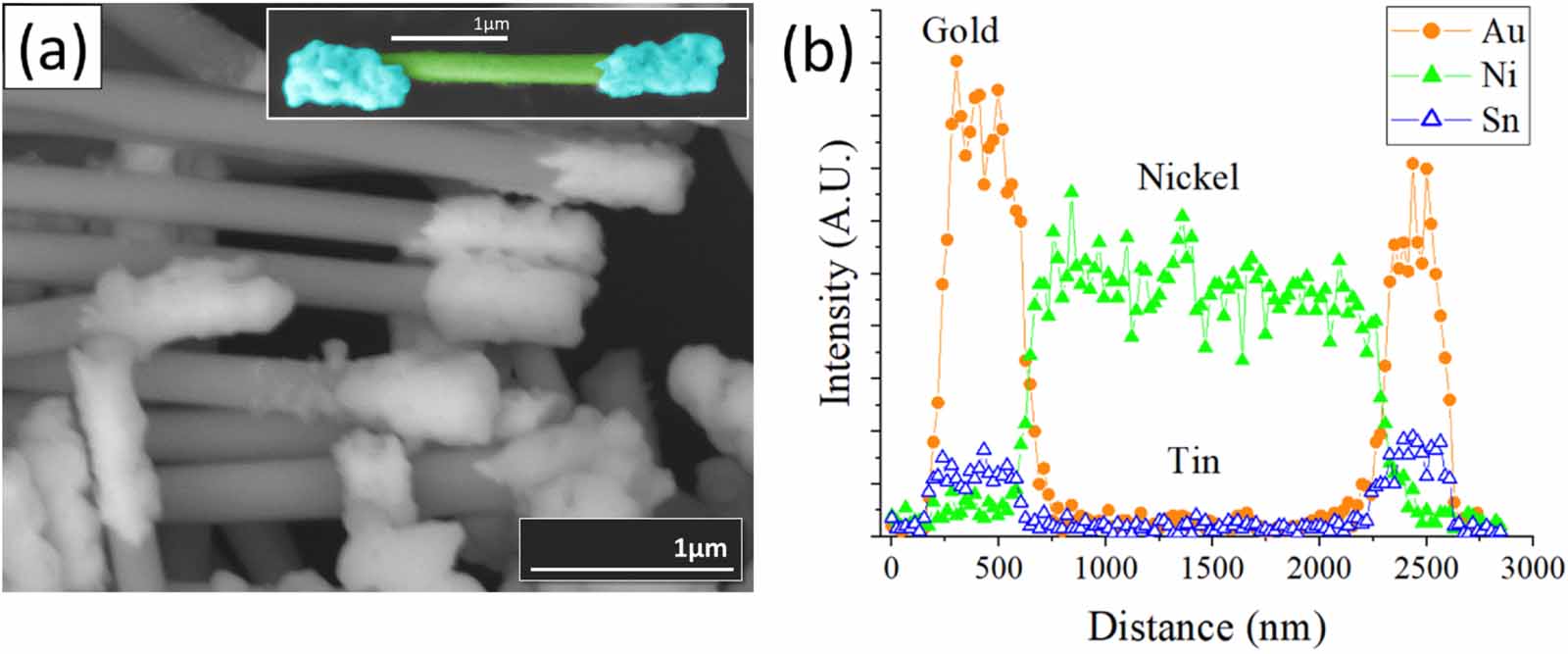 Site-selective core/shell deposition of tin on multi-segment nanowires ...