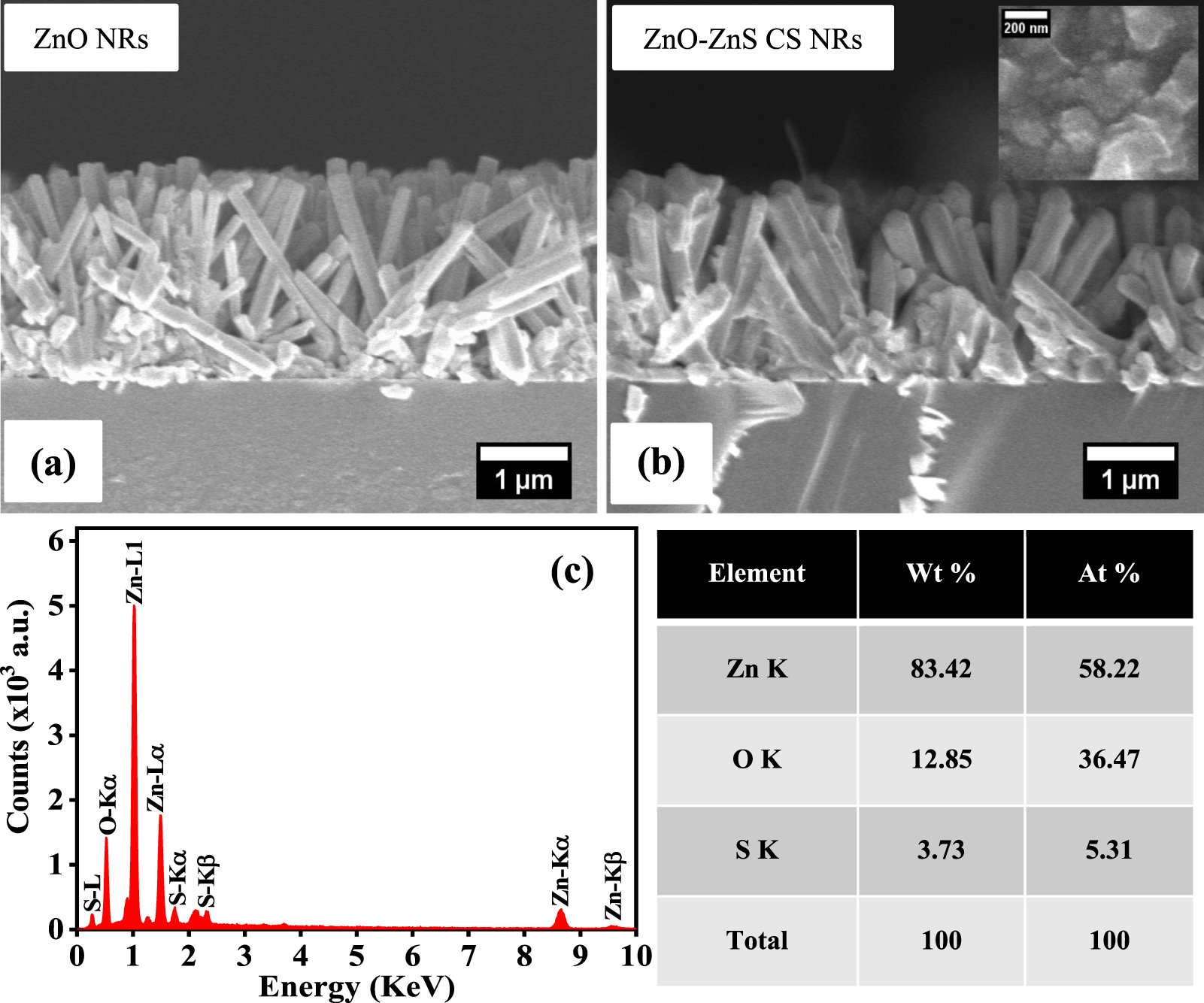 Conformal zinc sulfide coating of vertically aligned ZnO nanorods by ...