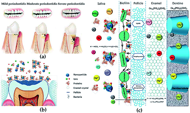 Nanotechnology in tissue engineering: expanding possibilities with ...