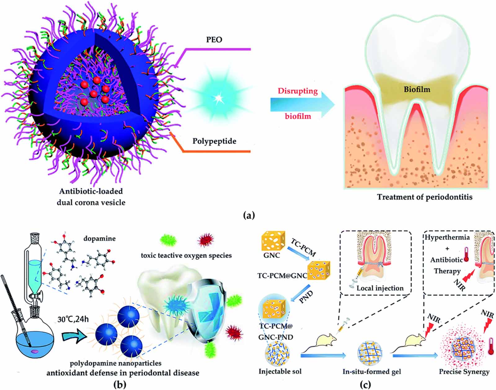 Nanotechnology in tissue engineering: expanding possibilities with ...