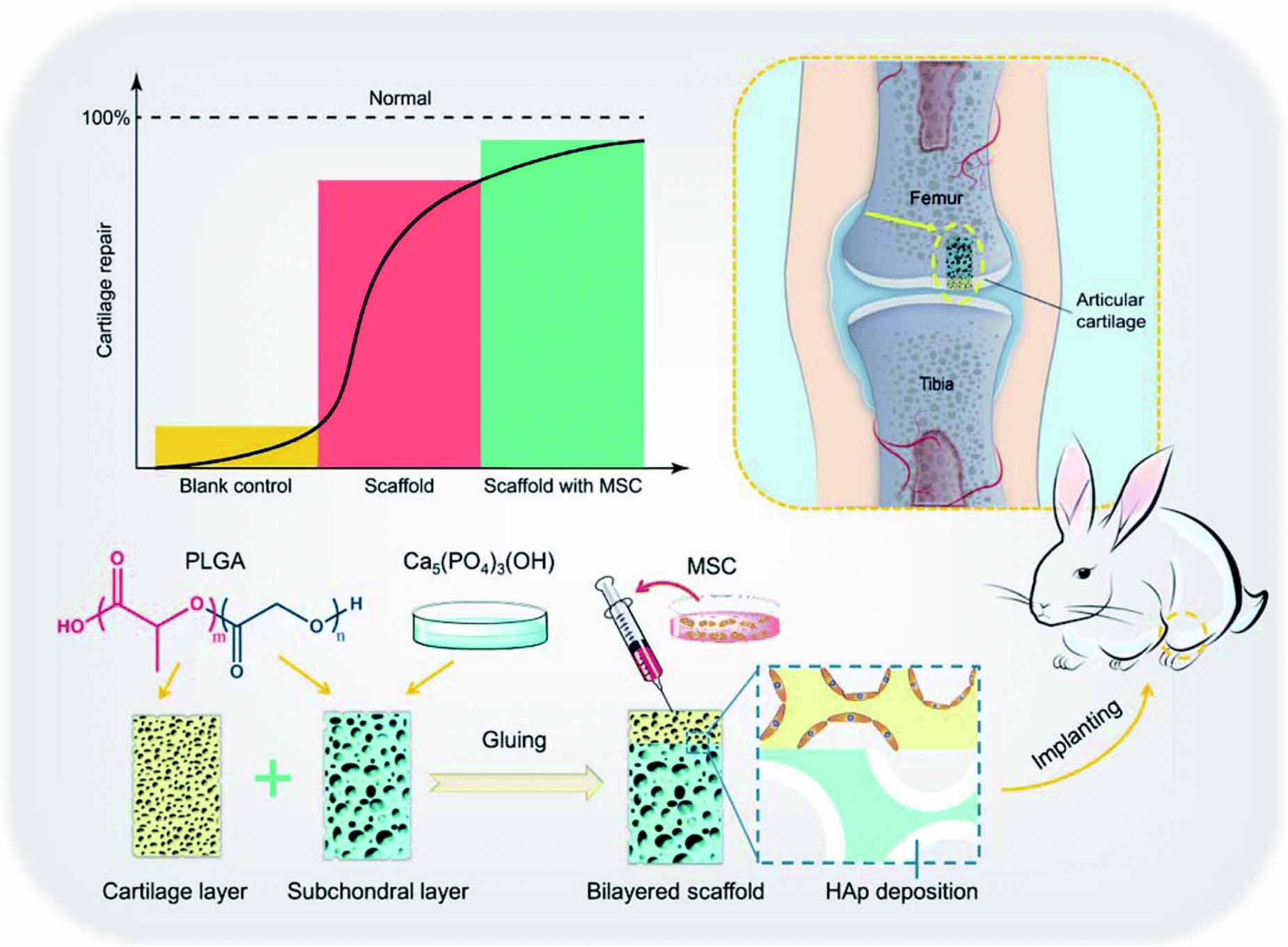 Nanotechnology in tissue engineering: expanding possibilities with ...