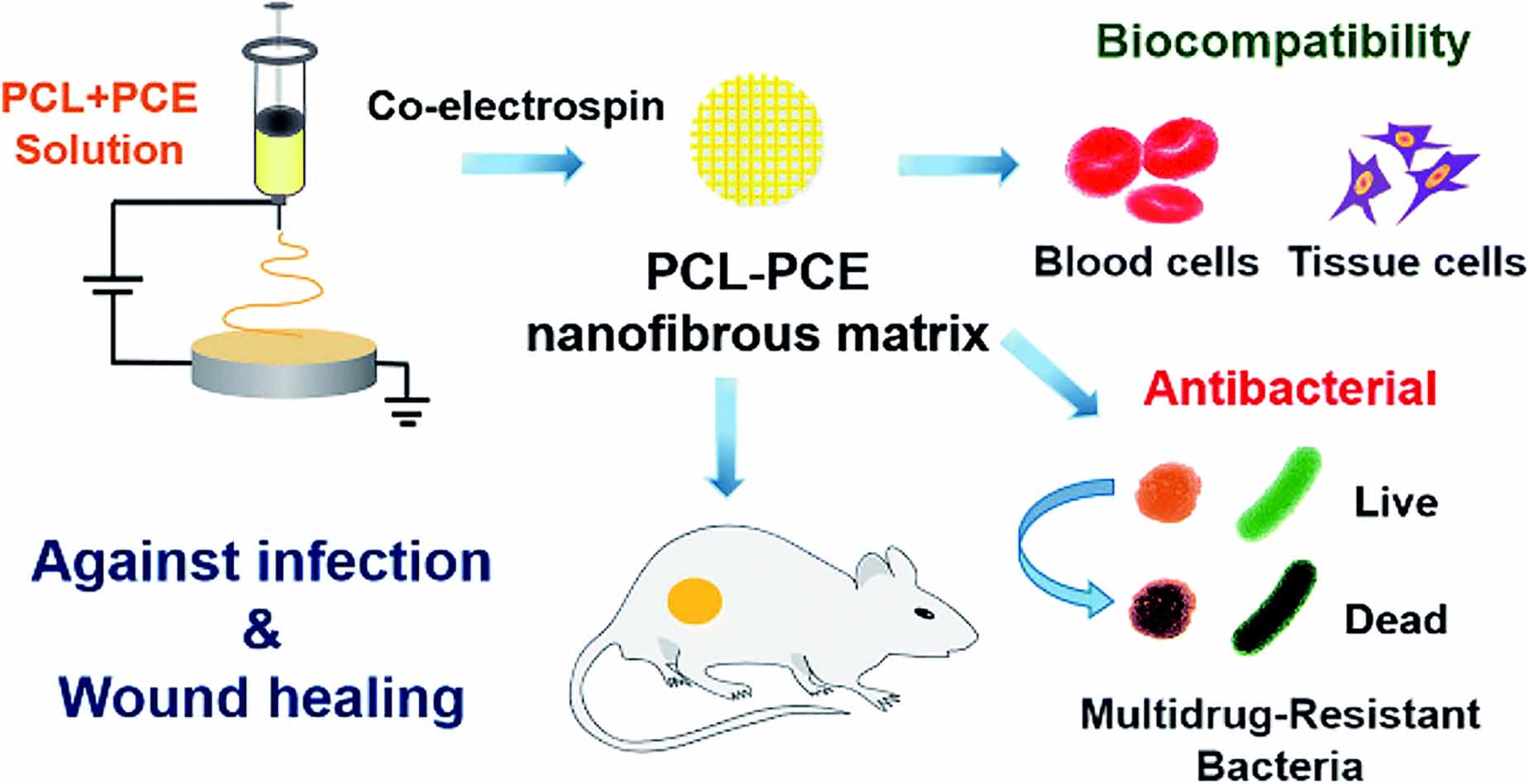 Nanotechnology in tissue engineering: expanding possibilities with ...