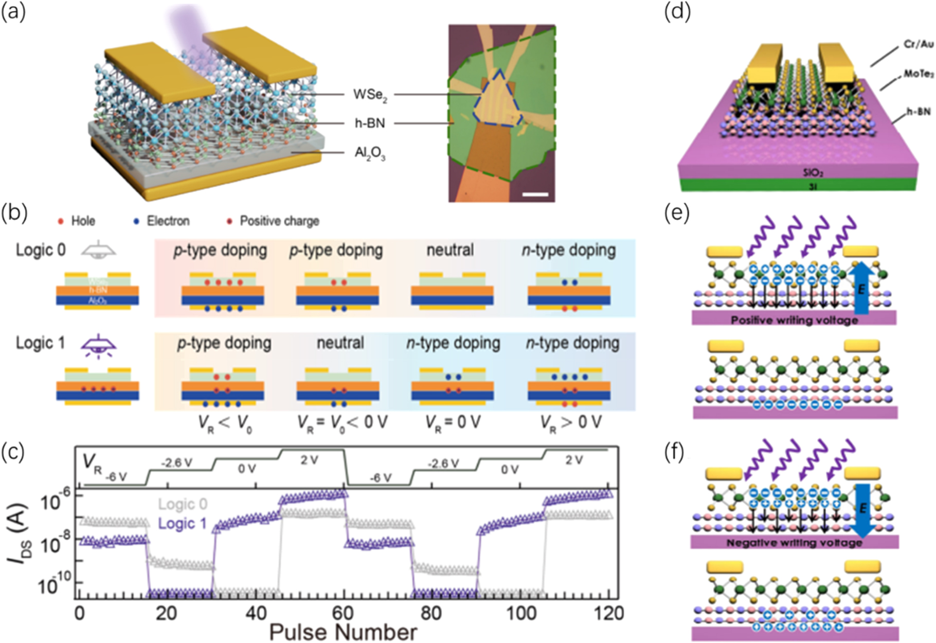 A review on advanced band-structure engineering with dynamic control ...