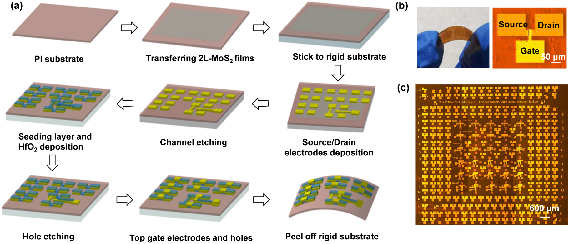 Large-scale and stacked transfer of bilayers MoS2 devices on a flexible ...
