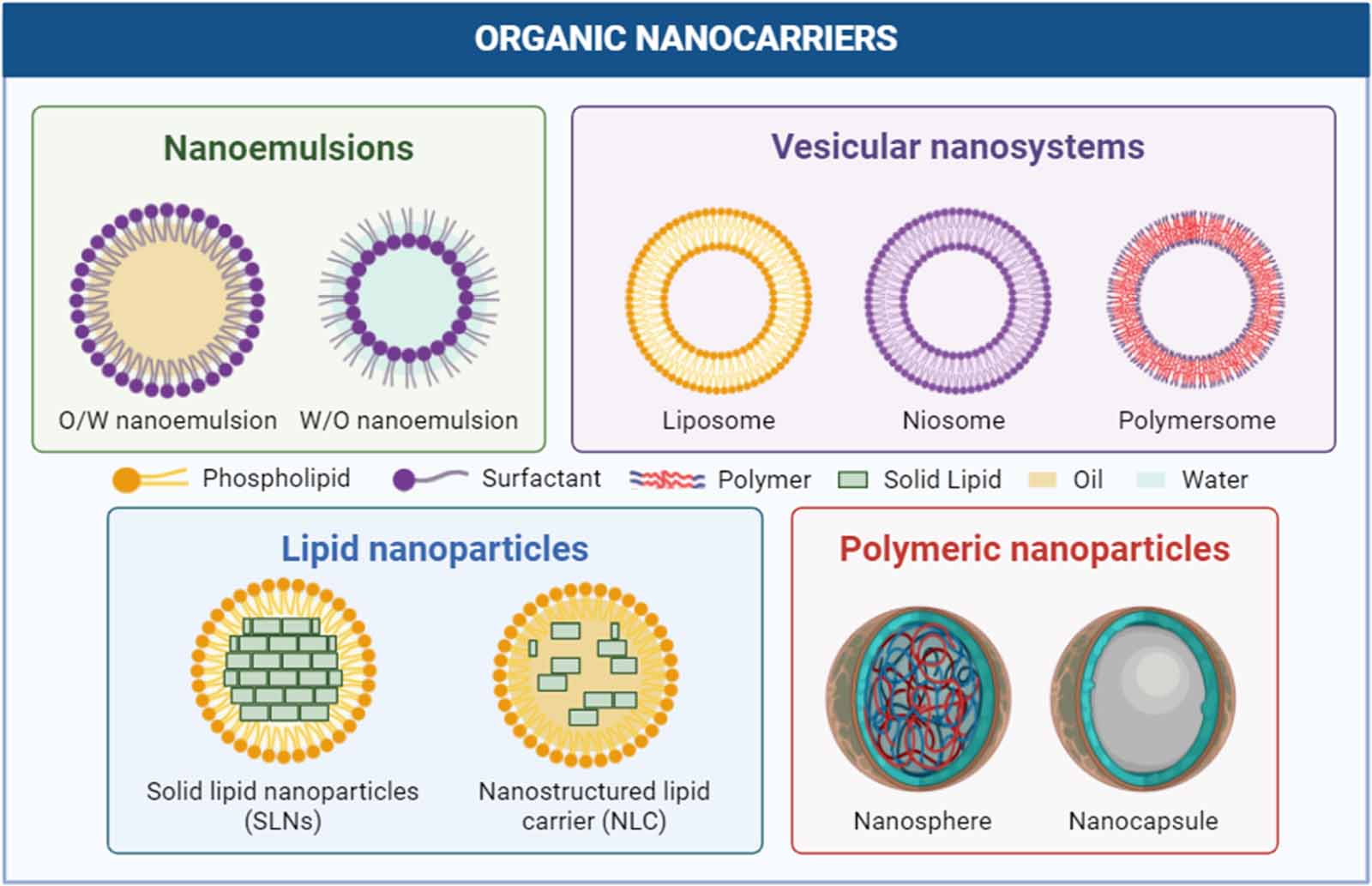 Nanosystems with potential application as carriers for skin ...