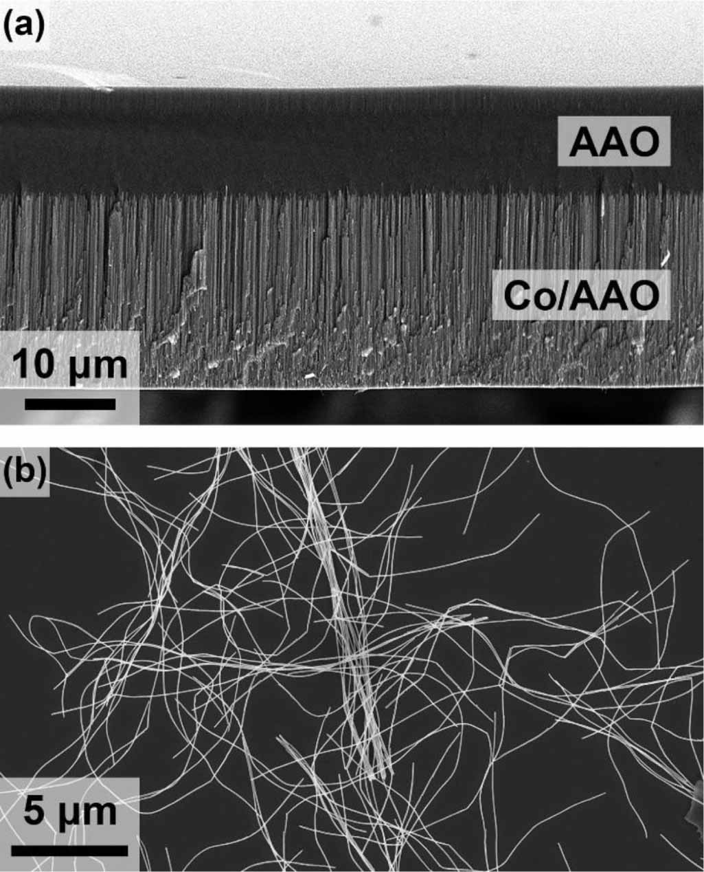 Controlled electrodeposition of cobalt nanowires using iR compensation ...