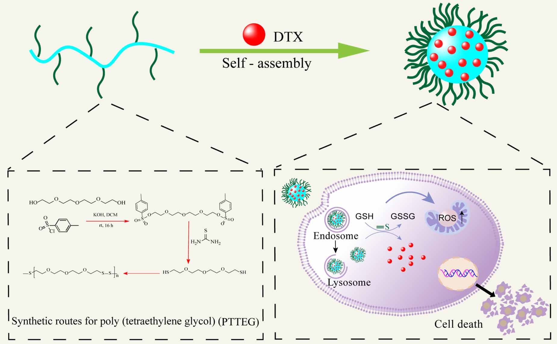 pH-sensitive and redox-responsive poly(tetraethylene glycol ...