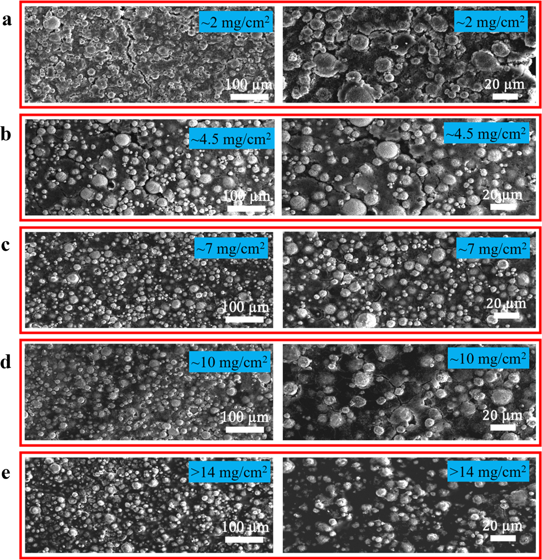 Effects of cathode loadings and anode protection on the performance of ...