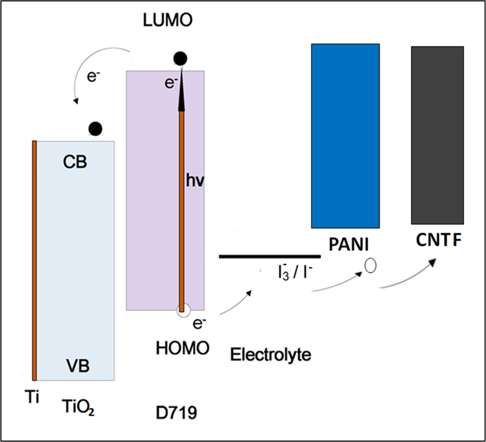 Electrodeposited polyaniline based carbon nanotubes fiber as efficient ...