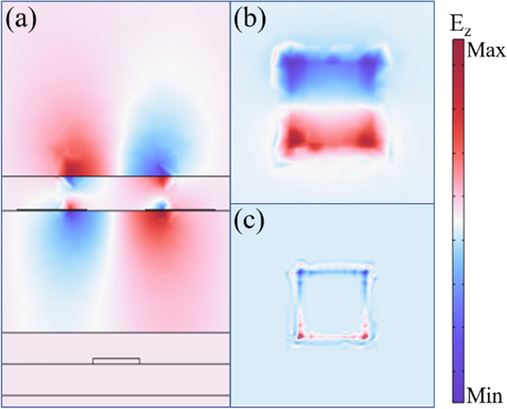 Dynamically tunable terahertz quadruple-function absorber based on a ...