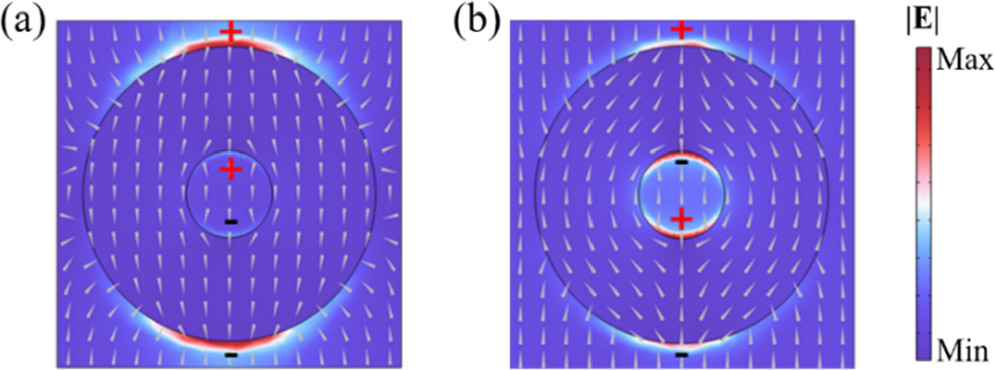 Dynamically tunable terahertz quadruple-function absorber based on a ...