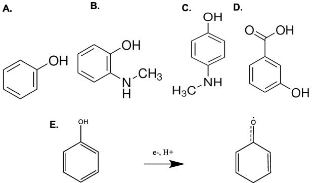 The measurement of phenols with graphitic carbon fiber microelectrodes ...