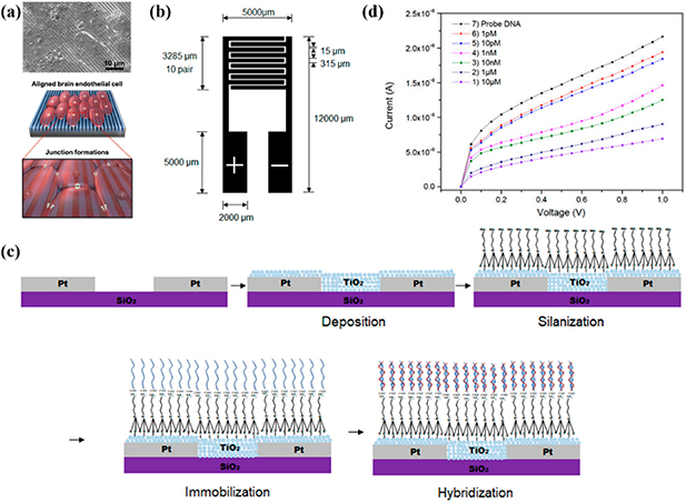 Interdigitated Array A special two-working-electrode system: a summary of recent development ...