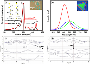 2D WS2 monolayer preparation method and research progress in the field ...