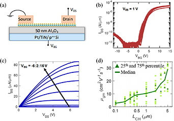 2D WS2 monolayer preparation method and research progress in the field ...